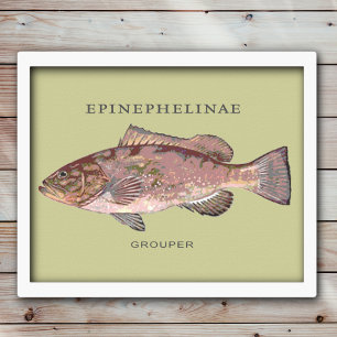 Pôster Ilustração de Peixe Garoupa