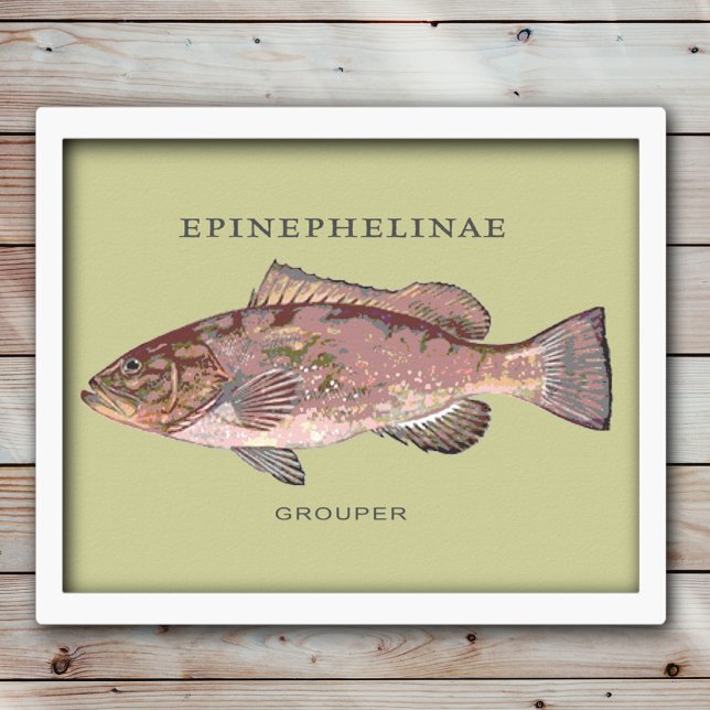 Pôster Ilustração de Peixe Garoupa (Criador carregado)