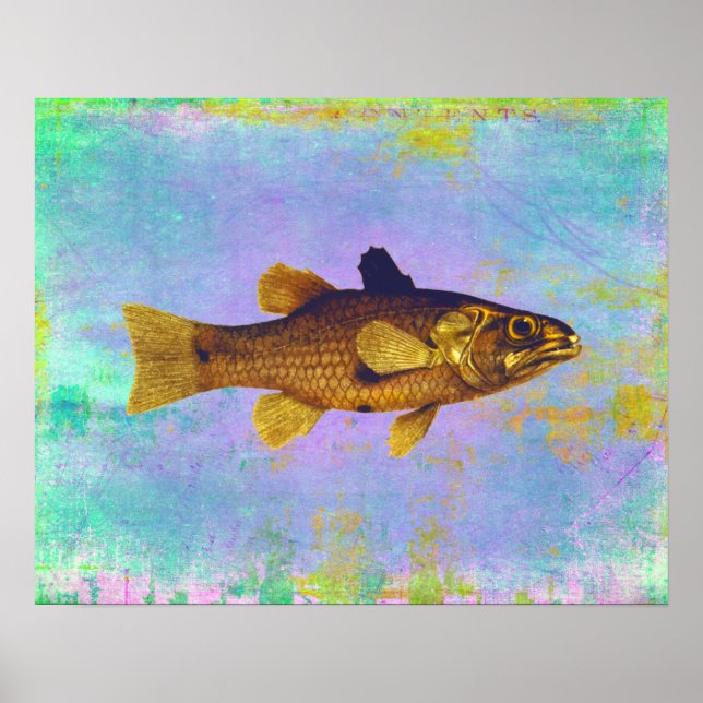 Poster Ilustração de Peixes de Água fresca Vintage (Frente)