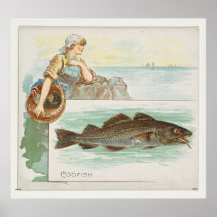 Poster Ilustração de Peixes de Bacalhau do Atlântico V