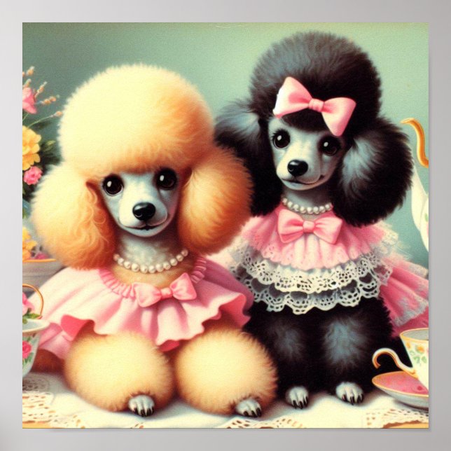 Poster Ilustração de Poodle em Cute (Frente)