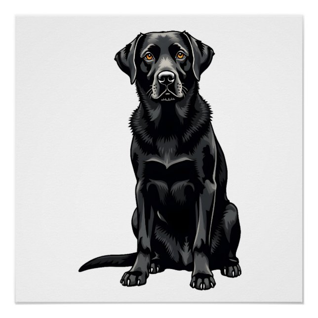 Pôster Ilustração de retrato de cão Labrador Retriever pr (Frente)
