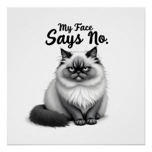 Pôster Ilustração de Rosto de Gato Engraçado – Arte de Ga