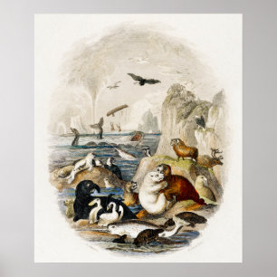 Poster Ilustração de Selo Vintage