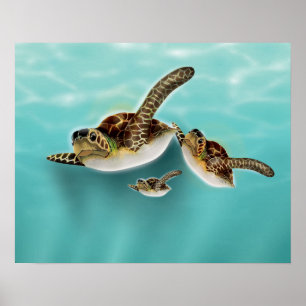 Pôster Ilustração de Tartarugas Marinhas