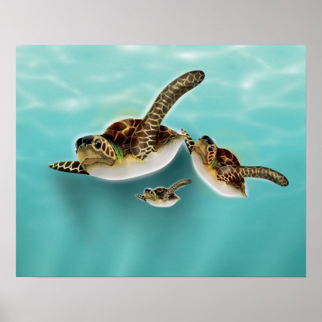 Pôster Ilustração de Tartarugas Marinhas (Frente)