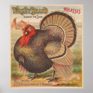 Poster Ilustração de Turquia da acção de graças do