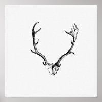 Ilustração de Vintage Antlers