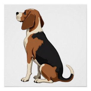 Pôster Ilustração de Vista Posterior de Cachorro Beagle V