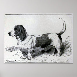 Pôster Ilustração do cão do vintage de "Basset Hound"