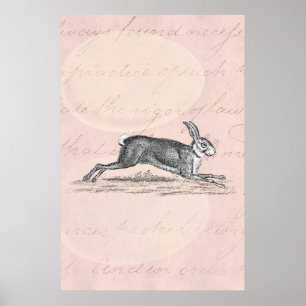 Pôster Ilustração do coelho de coelho da lebre do vinta