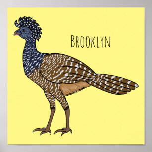 Poster ilustração do desenho animado de aves de cocurasso