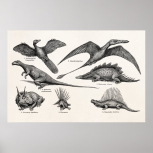 Poster Ilustração do Dinossauro Vintage Dinossauros Retro