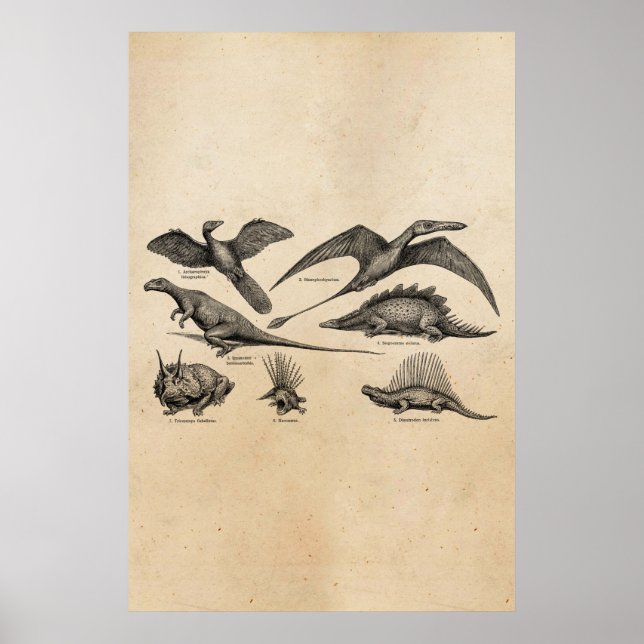 Pôster Ilustração do Dinossauro Vintage Dinossauros Retro (Frente)