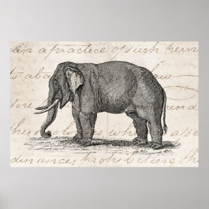 Pôster Ilustração do elefante dos 1800s do vintage -