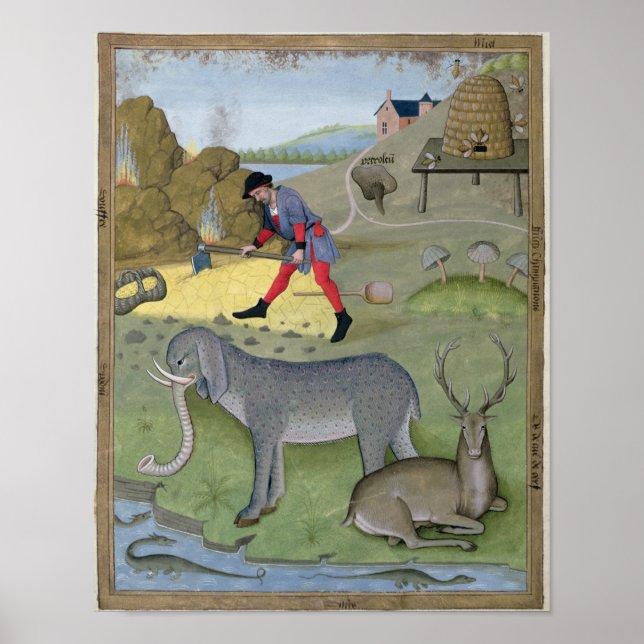 Poster Ilustração do Livro do Simples (Frente)