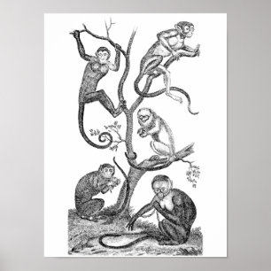 Poster Ilustração do macaco-da-safra - Macacos da década