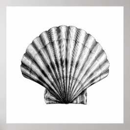 Poster Ilustração do mexilhão Black Vintage SeaShell Pilg