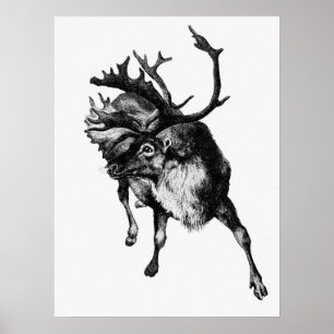 Poster Ilustração do Vintage Deer