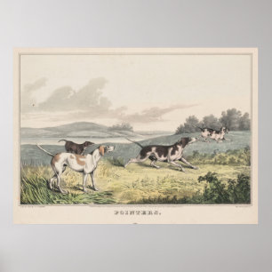 Poster Ilustração do vintage dos cães do ponteiro (184