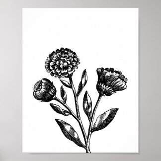 Poster Ilustração Floral Minimalista Arte Floral em Preto