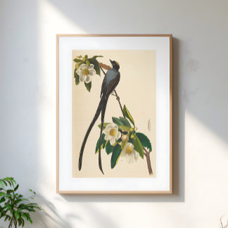 Poster Ilustração floral vintage de andorinha de rabo bif