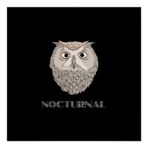 Pôster Ilustração Nocturna Coruja