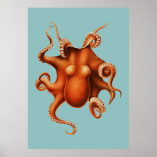 Poster Ilustração Octopus