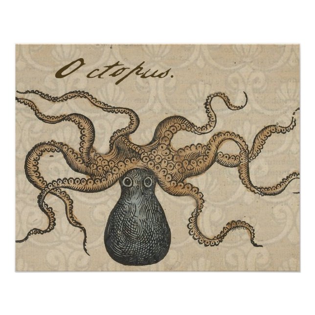Pôster Ilustração Octopus Kraken Vintage (Frente)