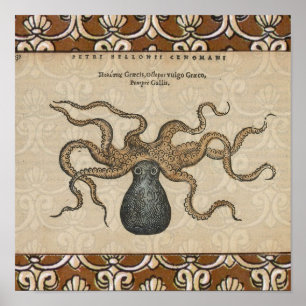 Pôster Ilustração Octopus Vintage Kraken