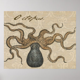Poster Ilustração Octopus Vintage Kraken
