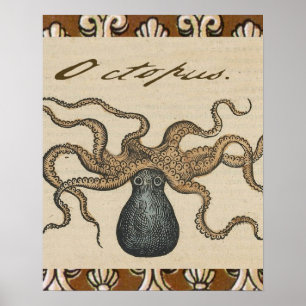 Pôster Ilustração Octopus Vintage Kraken