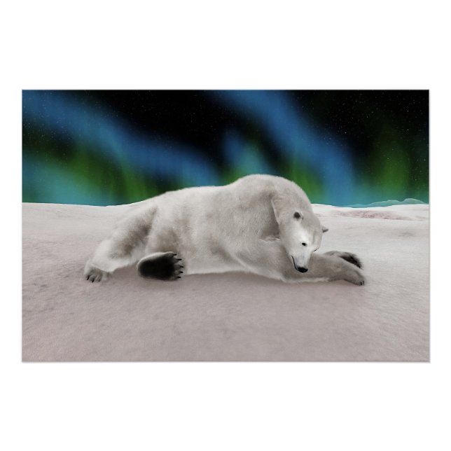 Pôster Ilustração Pacífica de Urso Polar na Natureza Árti (Frente)