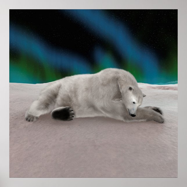 Pôster Ilustração Pacífica de Urso Polar na Natureza Árti (Frente)