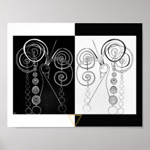 Poster Ilustração Peacock Yin e Yang DUET