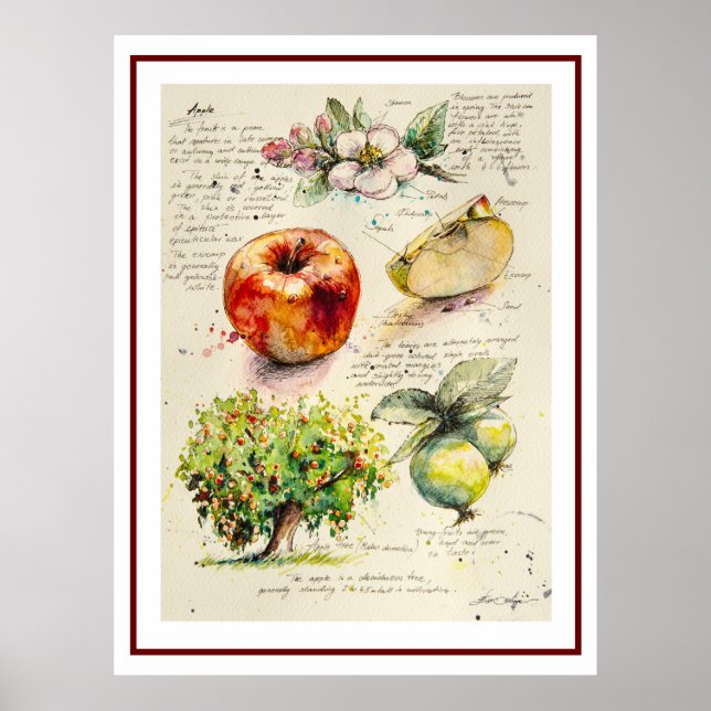 Poster Ilustração Pintada EVE da Maçã (Frente)