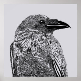 Poster Ilustração Raven