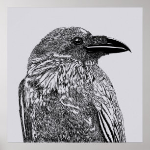 Poster Ilustração Raven