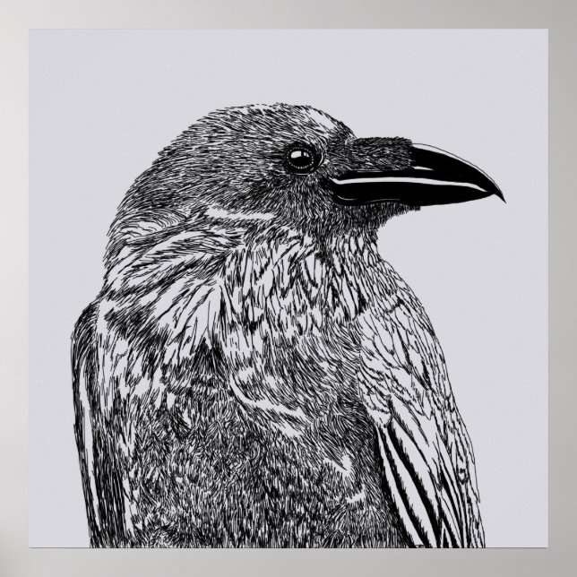 Poster Ilustração Raven (Frente)