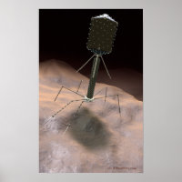 Ilustração Realista de bacteriófago