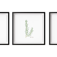 Ilustração Rosemary | Herbs Kitchen Wall Art