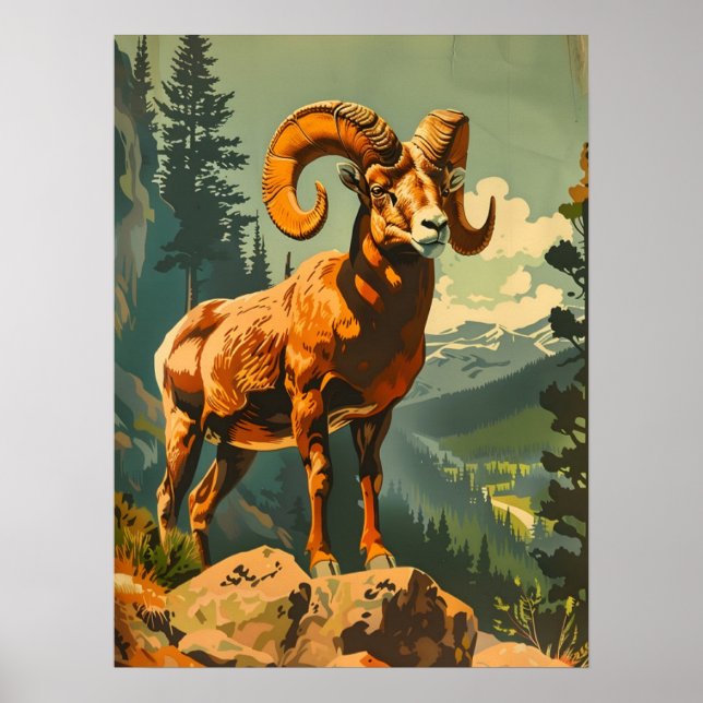 Poster Ilustração Vintage Bighorn Sheep (Frente)