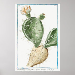 Poster Ilustração Vintage Cactus