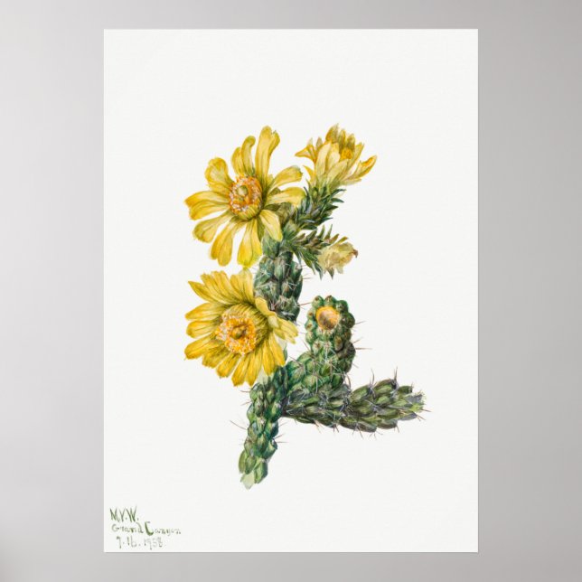 Poster Ilustração Vintage Cactus (Frente)