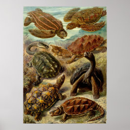 Poster Ilustração Vintage das Torturas