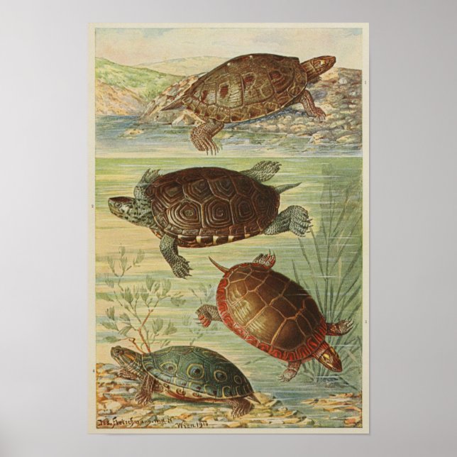 Poster Ilustração Vintage das Torturas (Frente)