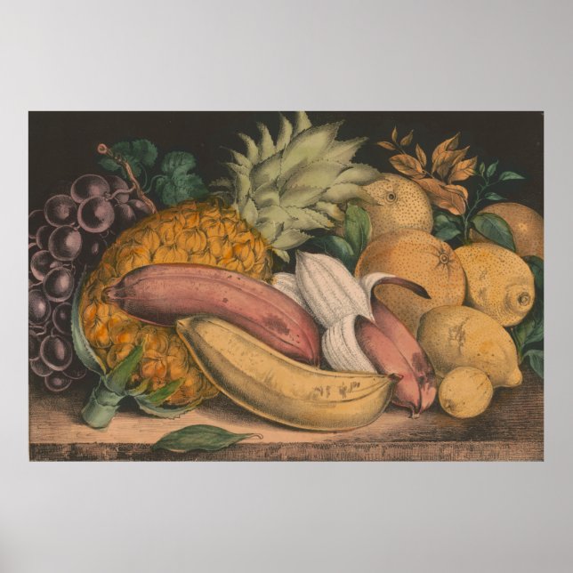 Poster Ilustração Vintage de Frutas Tropicais (1871) (Frente)
