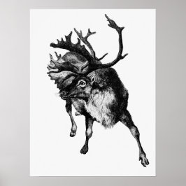 Poster Ilustração Vintage Deer
