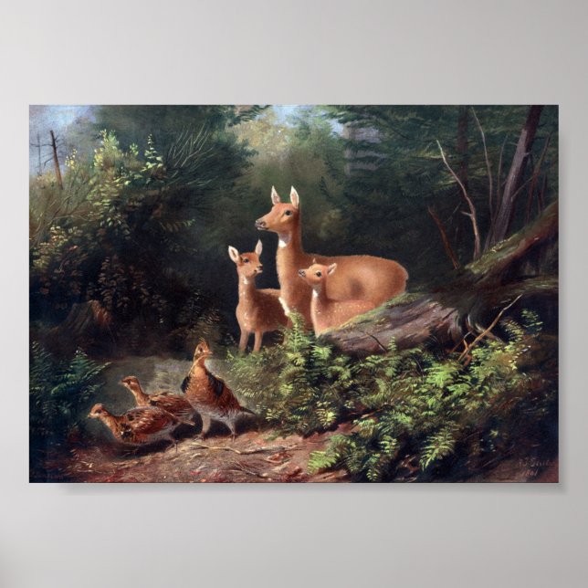 Poster Ilustração Vintage Deer (Frente)