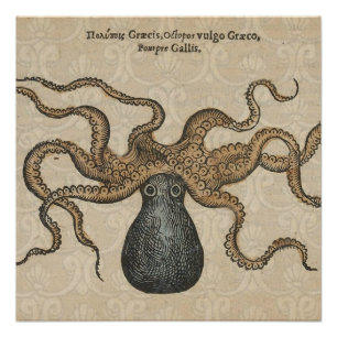 Pôster Ilustração Vintage do Kraken Polvo